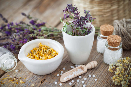 The Guide to Homeopathic Therapy and Arthritis